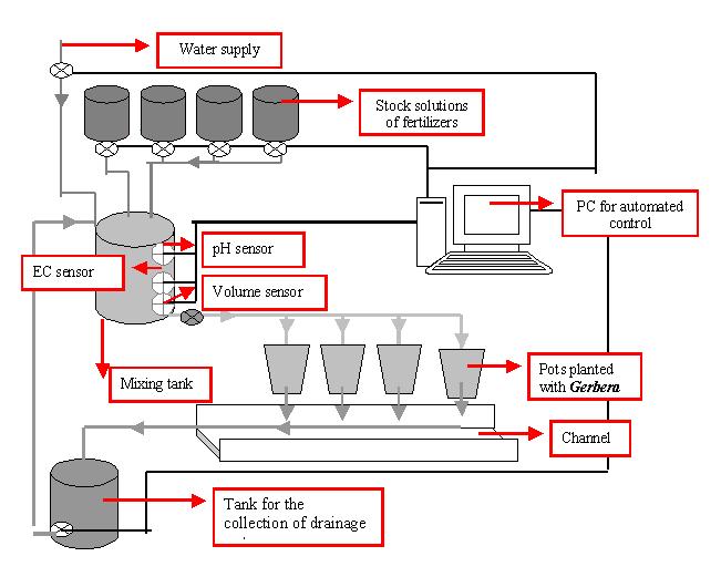 Σχηματική αναπαράσταση ενός υδροπονικού συστήματος με