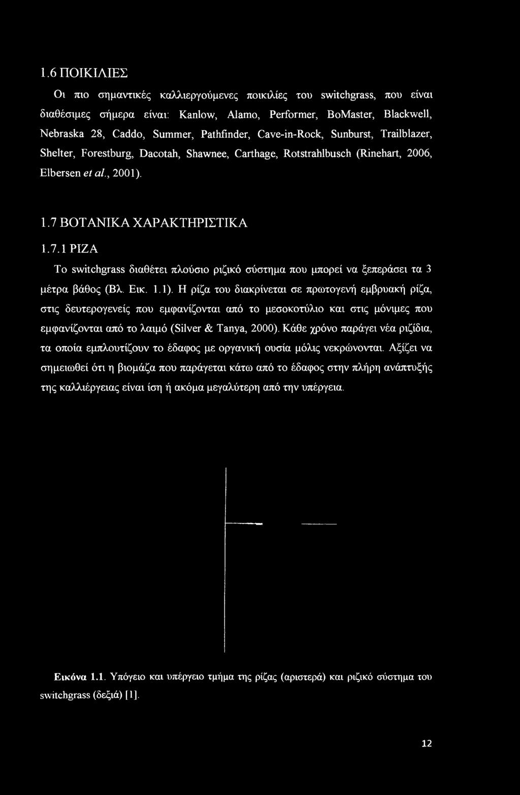 000). Κάθε χρόνο παράγει νέα ριζίδια, τα οποία εμπλουτίζουν το έδαφος με οργανική ουσία μόλις νεκρώνονται.