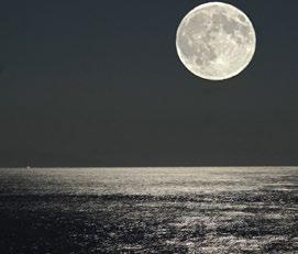 Παρασκευή 11 έως Κυριακή 13 Αυγούστου Τριήμερος εορτασμός για τη Γιορτή Σαρδέλας Παρασκευή 11 Αυγούστου μουσικοχορευτική εκδήλωση Σάββατο 12 Αυγούστου μουσική βραδιά με το συγκρότημα «Δυτικά απ το