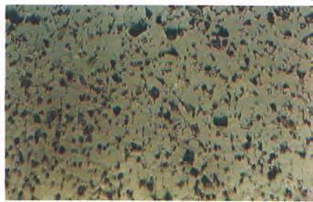 103α103θ: