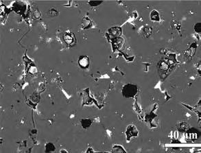 91α91θ: