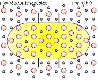 ΕΡΩΤΗΣΕΙΣ ΠΑΝΩ ΣΤΗ ΘΕΩΡΙΑ 1. Αν στο σχήμα 1, παρουσιάζεται ένα κύτταρο με ημιπερατή μεμβράνη να εξηγήσετε ποια μόρια θα μετακινηθούν και προς τα ποια διεύθυνση 2.