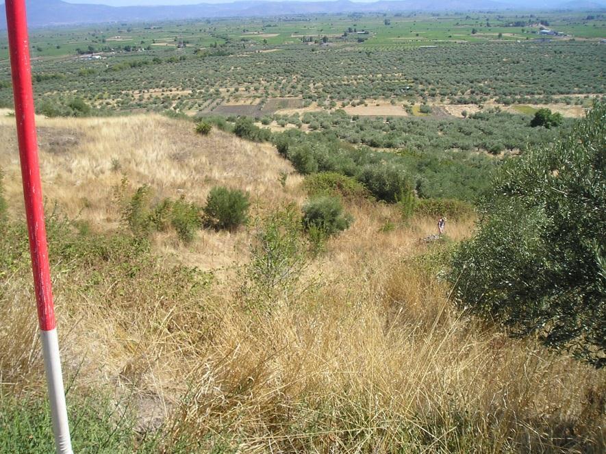 Η θέση της Κορώνειας ήταν πολύ σημαντική, γιατί σχηματιζόταν στην περιοχή της, ανάμεσα στο Τυλφώσιο βουνό και στη λίμνη τότε της Κωπαΐδας,