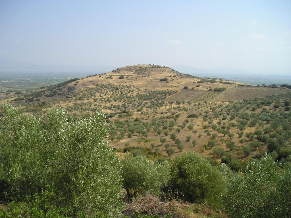 Ας γνωρίσουμε πρώτα την περιοχή 1. Η Κορώνεια πήρε το όνομά της από τον ιδρυτή της, τον Κόρωνο, αδερφό του Αλιάρτου και γιο του Θεσάνδρου.