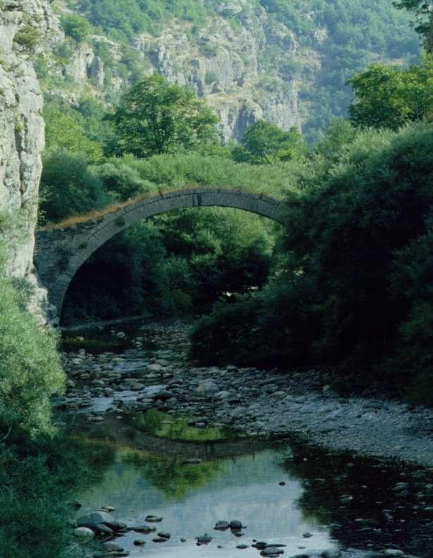 ΥΕΡΟΝΣΕ ΟΡΓΑΝΙΜΟΙ