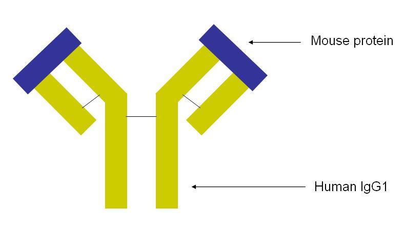 INFLIXIMAB (IFX) Ρεπκαηνεηδή αξζξίηηδα