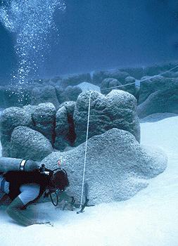 τρωματόλιθοι - Bahamas Οι πρώτοι ςτρωματόλιθοι εμφανύζονται πριν από 3 διςεκατομμύρια