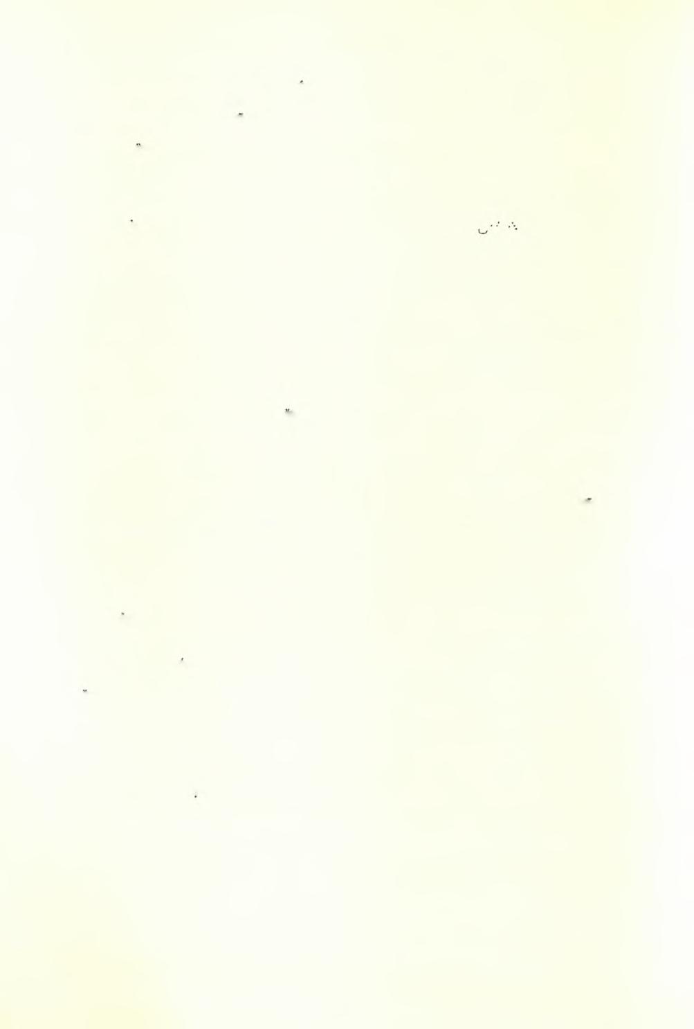 388 ΑΡΧΑΙΟΛΟΓΙΚΟΝ ΔΕΛΤΙΟΝ 19 (1964) : ΧΡΟΝΙΚΑ μέ κρίκον έκ σιδήρου καί χάνδρα έξ υαλώδους λευκής μάζης, έπί τής όποιας περιέργου σχήματος διακόσμησις διά μελανού χρώματος.