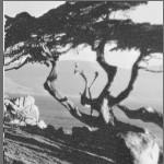 Πειραματικά Αποτελέσματα H ορθότητα του αλγορίθμου και των συμπερασμάτων που προέκυψαν από τη μελέτη των χρόνων εκτέλεσης της σειράς εικόνων Yosemite επιβεβαιώνονται και στις υπόλοιπες σειρές εικόνων.
