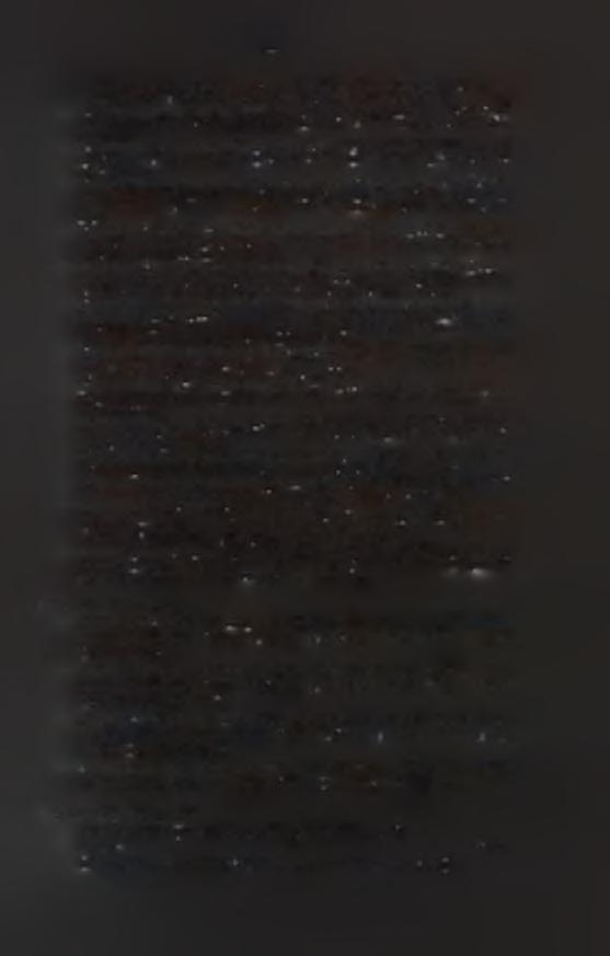 59 co-alimentacao com nauplios de Artemia e dieta microencapsulada. Centro de Aqiiicultura da Universidade Estadual Paulista. Master Dissertation. Uys, W., and Hecht, T. (1987).
