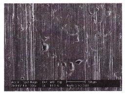(α) (β) Εικόνα 13: Εικόνες SEM για την επικάλυψη Cr 2 O 3 -TiO 2 με ατμοσφαιρικό ψεκασμό πλάσματος μετά τα πειράματα τριβής (α) για ήπιες συνθήκες (β) για