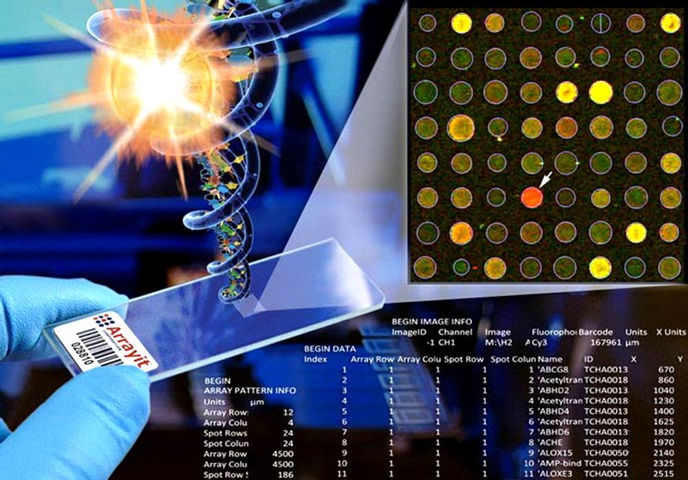 Εικόνα 1 : Gene expression profiling 1.