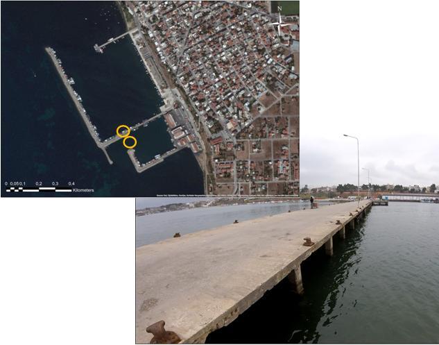 Εικόνα 3.7 Θέση δειγματοληψίας στο σταθμό Λιμάνι Νέας Μηχανιώνας (Στ.Μ) στο λιμάνι της Μηχανιώνας.