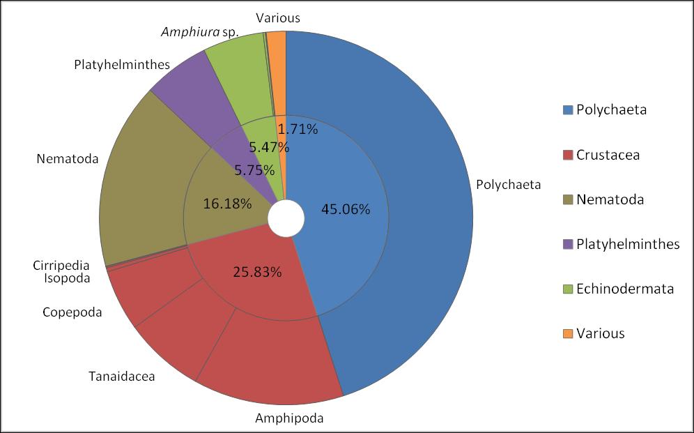 Εικόνα 4.8 Ποσοστιαία συμμετοχή των 5 βασικότερων ταξινομικών ομάδων και των επιμέρους κυρίαρχων taxa στη συνολική αφθονία στο σταθμό δειγματοληψίας Στ.3 στις 19/2/2016.