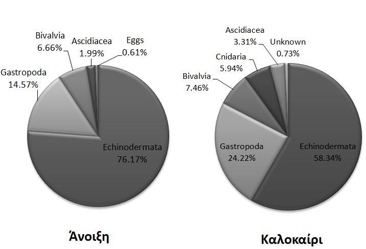 Εικόνα 4.25 Ποσοστιαία κάλυψη του κρηπιδώματος στον σταθμό δειγματοληψίας Στ.