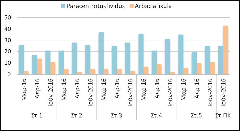 4.4 Πληθυσμιακή - Βιομετρική μελέτη αχινών 4.4.1 Αναλογία ειδών Για το χρονικό διάστημα Μαρτίου- Ιουνίου 2016, συλλέχθηκαν από το θαλάσσιο αστικό μέτωπο της Θεσσαλονίκης (Στ.1- Στ.