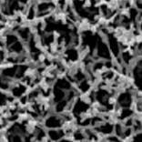 asimetrijom membrane, brzom degradacijom membrane (usled dejstva nekih rastvarača), prisustvom rastvorenog vazduha (obavezno