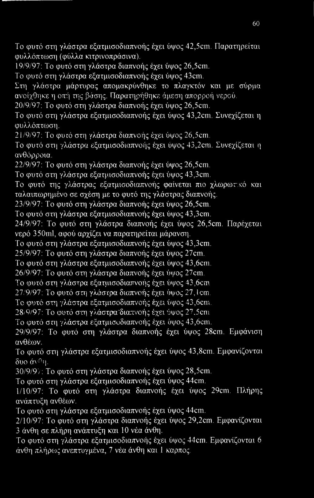 20/9/97: Το φυτό στι γλάστρα διαπνοής έχει ύψος 26,5cm. Το φυτό στ] γλάστρα εξατμισοδιαπνοής έχει ύψος 43,2cm. Συνεχίζεται η φυλλόπτωση. 21/9/97: Το φυιό στη γλάστρα διαπνοής έχει ύψος 26,5cm.