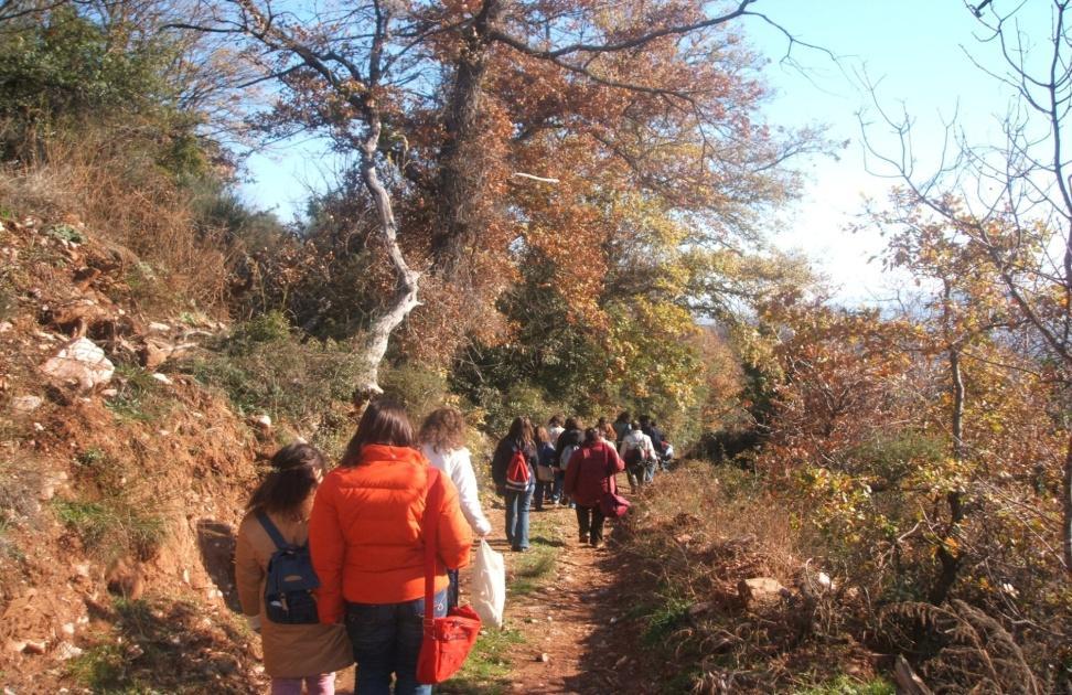 Χρονοδιάγραμμα του προγράμματος 3 ο μέρος παρουσίασης: Παρουσίαση