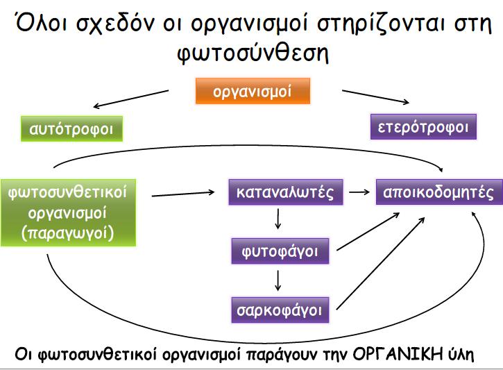 Ο ρόλος της