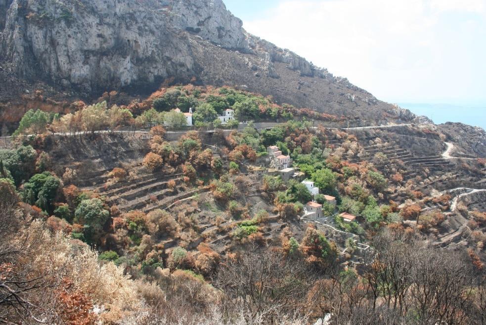 Από εικόνα 3.24. του παράγοντα των μέτρων κατά της διάβρωσης του εδάφους P, σημειώνονται ακραίες τιμές, με ελάχιστη 0.0317 και μέγιστη 0.95.