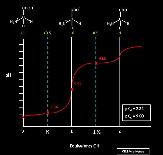 Σημειώσεις Εργαστηρίου Χημείας &Τεχνολογίας Τροφίμων Ανάλογα βρίσκεται το pk2 για την αμινομάδα που σε υδατικό περιβάλλον ιονίζεται σύμφωνα με την ισορροπία : RΝH2 + H3O + RΝΗ3 + + H2O Η καμπύλη