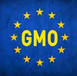 AGROSVET EKOLOŠKE CRTICE Priredio: Dragan Đorđević Predlogom Brisela o GMO svi nezadovoljni Evropska komisija predožila je izmenu propisa o uvozu genet ski modifikovanih organizama.