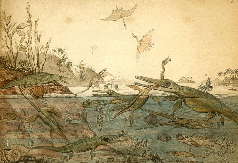 Duria Antiquior - a more ancient Dorset: η ;ρώτη