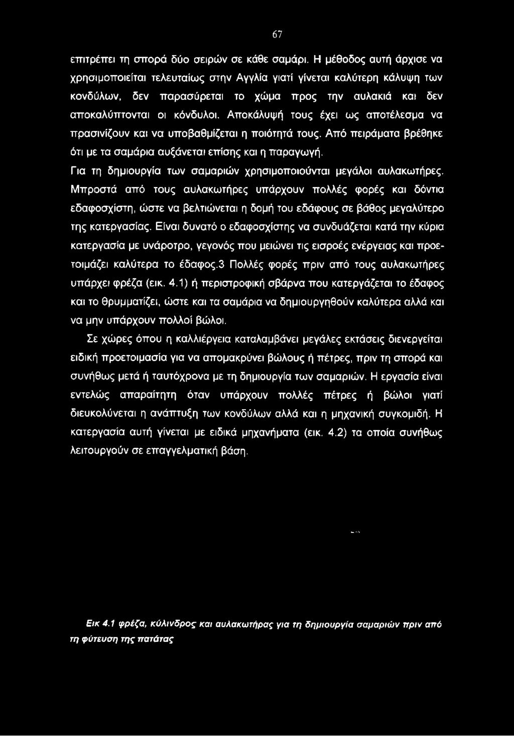 Αποκάλυψή τους έχει ως αποτέλεσμα να πρασινίζουν και να υποβαθμίζεται η ποιότητά τους. Από πειράματα βρέθηκε ότι με τα σαμάρια αυξάνεται επίσης και η παραγωγή.