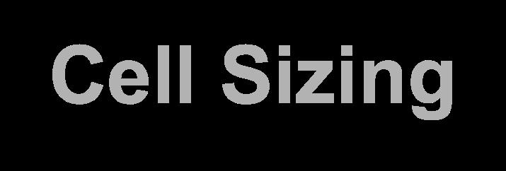 Cell Sizing l Keeping cell size minimized is critical for large caches l Minimum sized pull down fets (M1 and M3) Requires minimum width and longer than minimum channel length pass transistors (M5