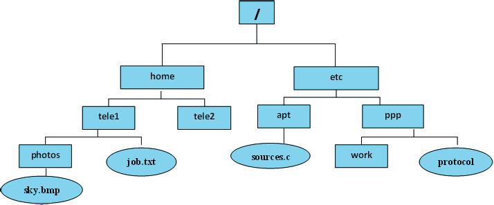 Παράδειγμα Δένδρου Συστήματος Αρχείων Δικαιώματα Πρόσβασης στο Λειτουργικό Σύστημα UNIX Στα παραδείγματα που ακολουθούν υποθέτουμε την παρακάτω δενδρική δομή Τμήμα Τεχνολογίας Πληροφορικής και