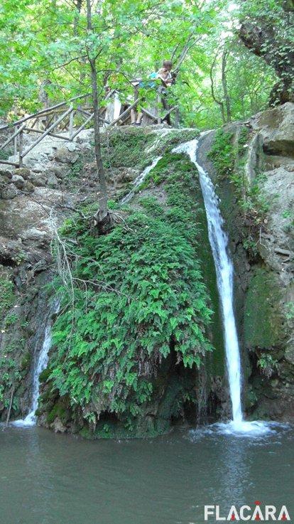 Valea
