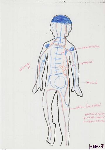 Οι ιδέες των παιδιών προσχολικής ηλικίας για τα όργανα του σώματος και το