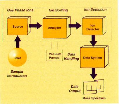 Φασµατοµετρίαµαζών Τα βασικά µέρη ενός φασµατοµέτρου µαζών είναι: