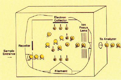Φασµατοµετρίαµαζών (πηγήιονισµού) Πηγή ηλεκτρονικού ιονισµού (Electron Impact, EI) Τα ιόντα δηµιουργούνται µετά το βοµβαρδισµό των µορίων του δείγµατος τα οποία βρίσκονται στην αέρια φάση µε µία