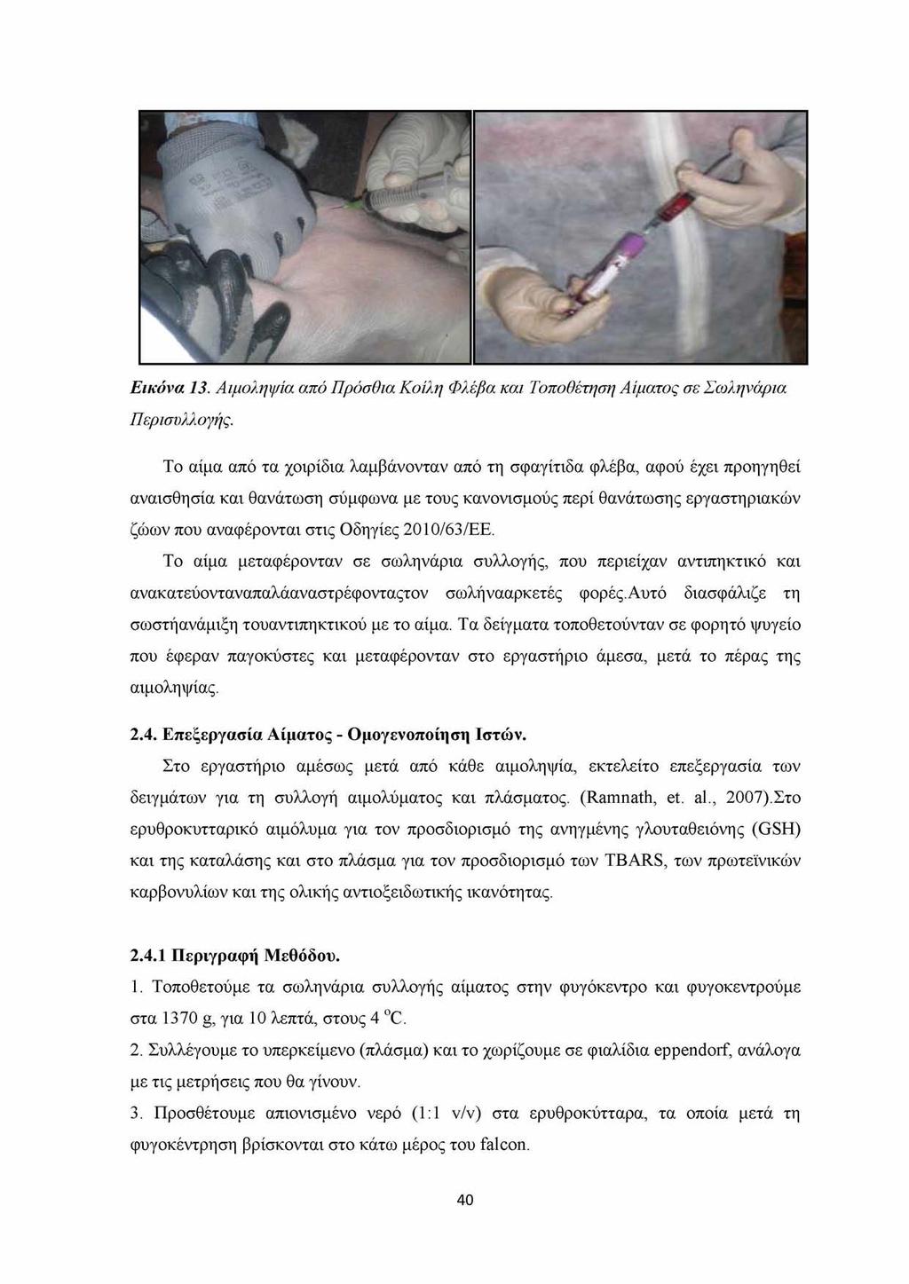 Εικόνα 13. Αιμοληψία από Πρόσθια Κοίλη Φλέβα και Τοποθέτηση Αίματος σε Σωληνάρια Περισυλλογής.