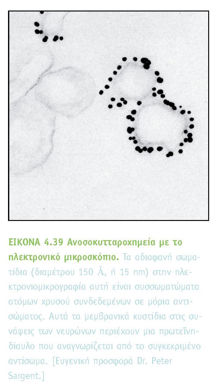 BIOXHMEIA, TOMOΣ I