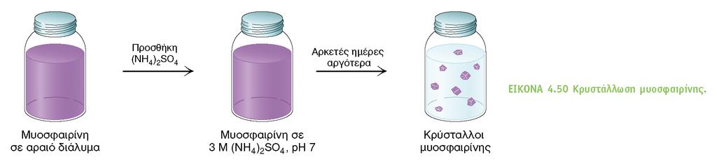 BIOXHMEIA, TOMOΣ I ΠANEΠIΣTHMIAKEΣ