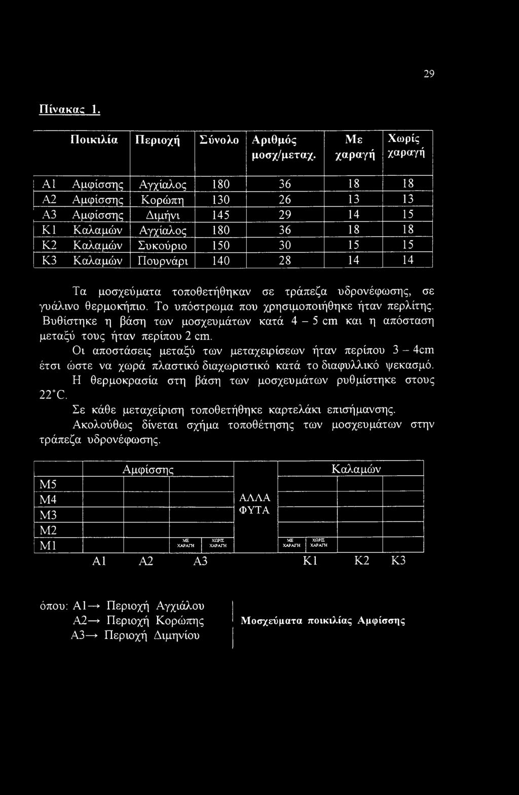 Πουρνάρι 140 28 14 14 Τα μοσχεύματα τοποθετήθηκαν σε τράπεζα υδρονέφωσης, σε γυάλινο θερμοκήπιο. Το υπόστρωμα που χρησιμοποιήθηκε ήταν περλίτης.