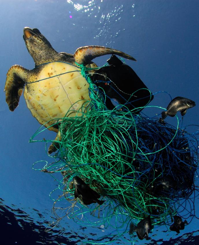 IMPACT TO ΠΡΟΒΛΗΜΑ OF PLASTICS ΤΩΝ ΠΛΑΣΤΙΚΩΝ IN EUROPEΣΤΗΝ ΕΥΡΩΠΗ COVER Will Rose / Greenpeace Greenpeace / Marco Care Το πλαστικό βρίσκεται παντού στην καθημερινότητά μας.