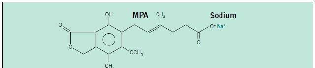 MPA : mycophenolate acid MMF