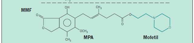 Mycophenolate mofetil