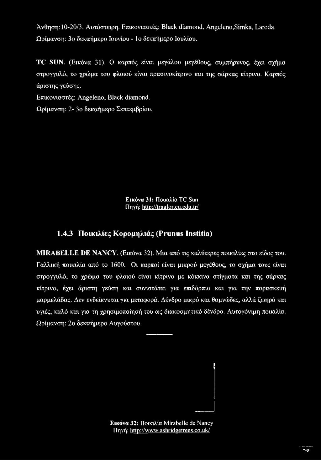 Ο καρπός είναι μεγάλου μεγέθους, συμπήρυνος, έχει σχήμα στρογγυλό, το χρώμα του φλοιού είναι πρασινοκίτρινο και της σάρκας κίτρινο.