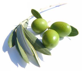 Υπεύθυνοι καθηγητές