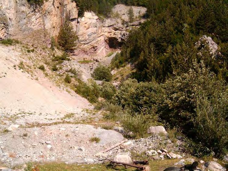mungon. Vende vende takohen depozitimet cakelloro-poplore te perberjes magmatike dhe karbonatike kryesisht kjo ne trasete e kanaleve qe kalojne rreze shpateve malore.