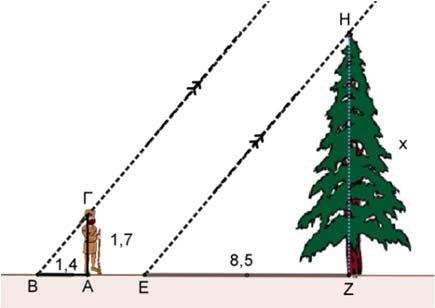 Αν 4, και εμβαδόν τριγώνου είναι 4 3, να αποδείξετε ότι το τρίγωνο είναι ισόπλευρο. 22. Στο πιο κάτω σχήμα ένας κυνηγός, με ύψος 1,7, βρίσκεται κοντά σε ένα δέντρο.