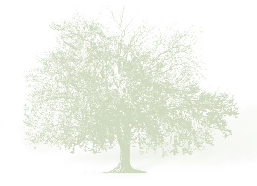 KΠΕ ΘΙΝΑΛΙΩΝ 3 Το Ελαιόδεντρο Η ελιά είναι δέντρο αειθαλές, αιωνόβιο, καρποφόρο που καλλιεργείται σε εύκρατα κλίματα. Η επιστημονική της ονομασία είναι Olea Europaea.