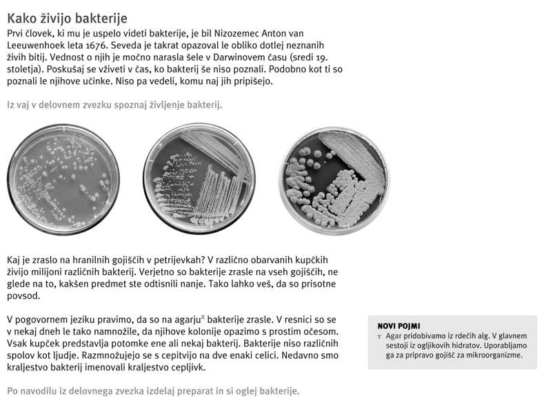 Problemske naloge UËencu