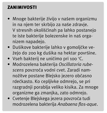 jih vkljuëite v pouk ali jih obravnavate pri kroækih. Obe rubriki sta vam lahko v pomoë, da pouk organizirate tudi nivojsko.