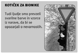 Bogatijo ga z dodatnimi primeri, πtevilënimi podatki ali posebnostmi iz æivega sveta, kot so najveëje, najmanπe, najhitrejπe in podobno.